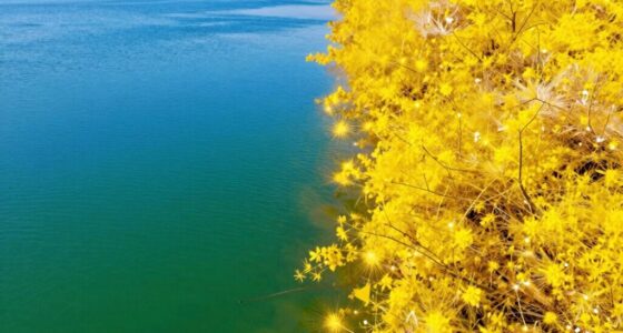 deployment strategies comparison