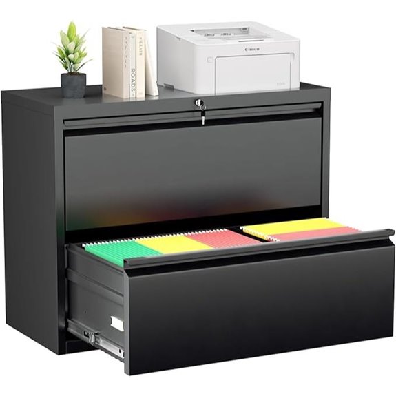 Greenvelly 2-Drawer Lockable Metal File Cabinet