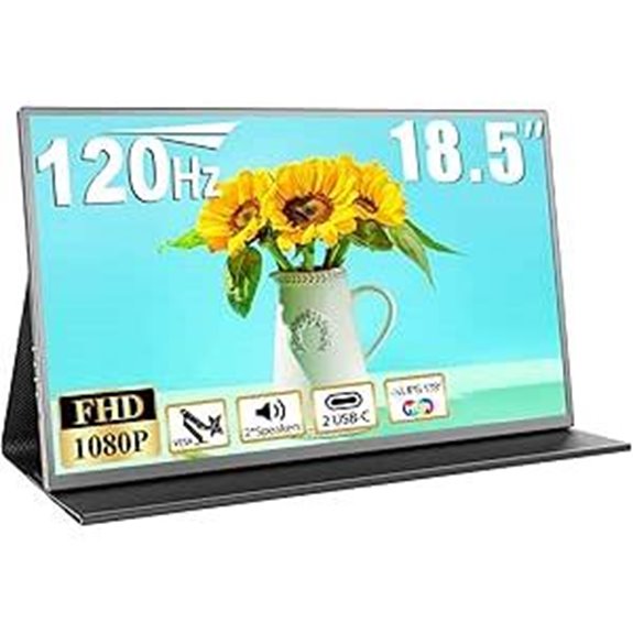 18.5 Portable FHD Monitor with Cover and VESA