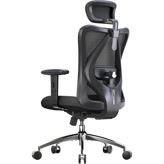 SIHOO M18 Ergonomic Office Chair with Adjustable Support