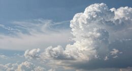 flexibility versus uniformity