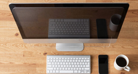 13 Best Desktop Privacy Filter for Large Displays in 2026