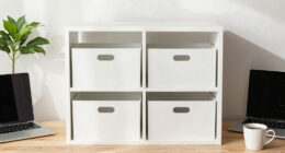 The $0 Storage-Doubling Trick to Try on Your Bookshelf