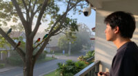 I Turned My Security Cameras Into An Automatic Bird Identification System